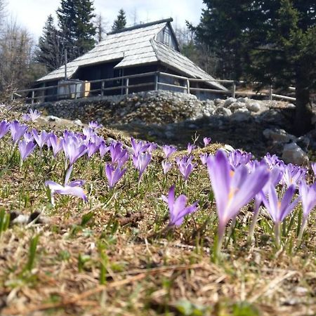Chalet Pehta Velika Planina Stahovica Extérieur photo