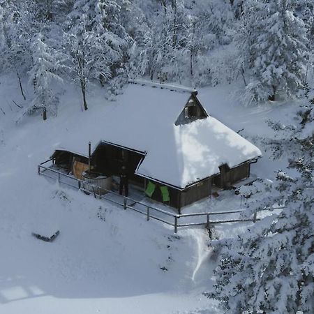 Villa Chalet Pehta Velika Planina à Stahovica Extérieur photo