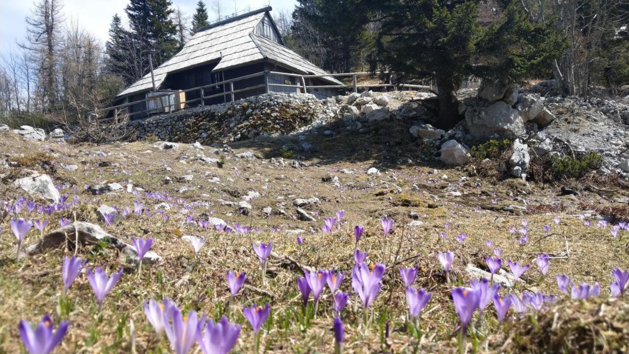 Chalet Pehta Velika Planina Stahovica Extérieur photo