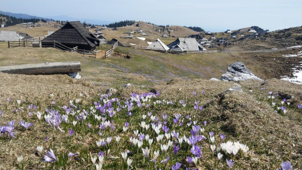 Chalet Pehta Velika Planina Stahovica Extérieur photo