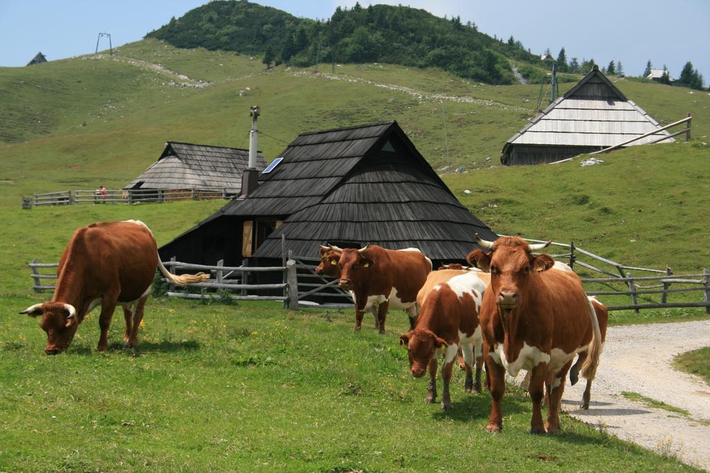 Chalet Pehta Velika Planina Stahovica Chambre photo