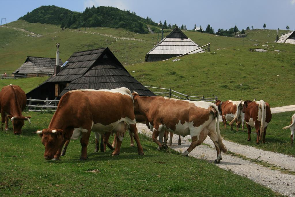 Chalet Pehta Velika Planina Stahovica Chambre photo