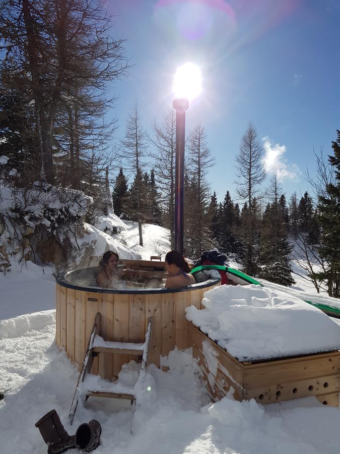 Chalet Pehta Velika Planina Stahovica Extérieur photo