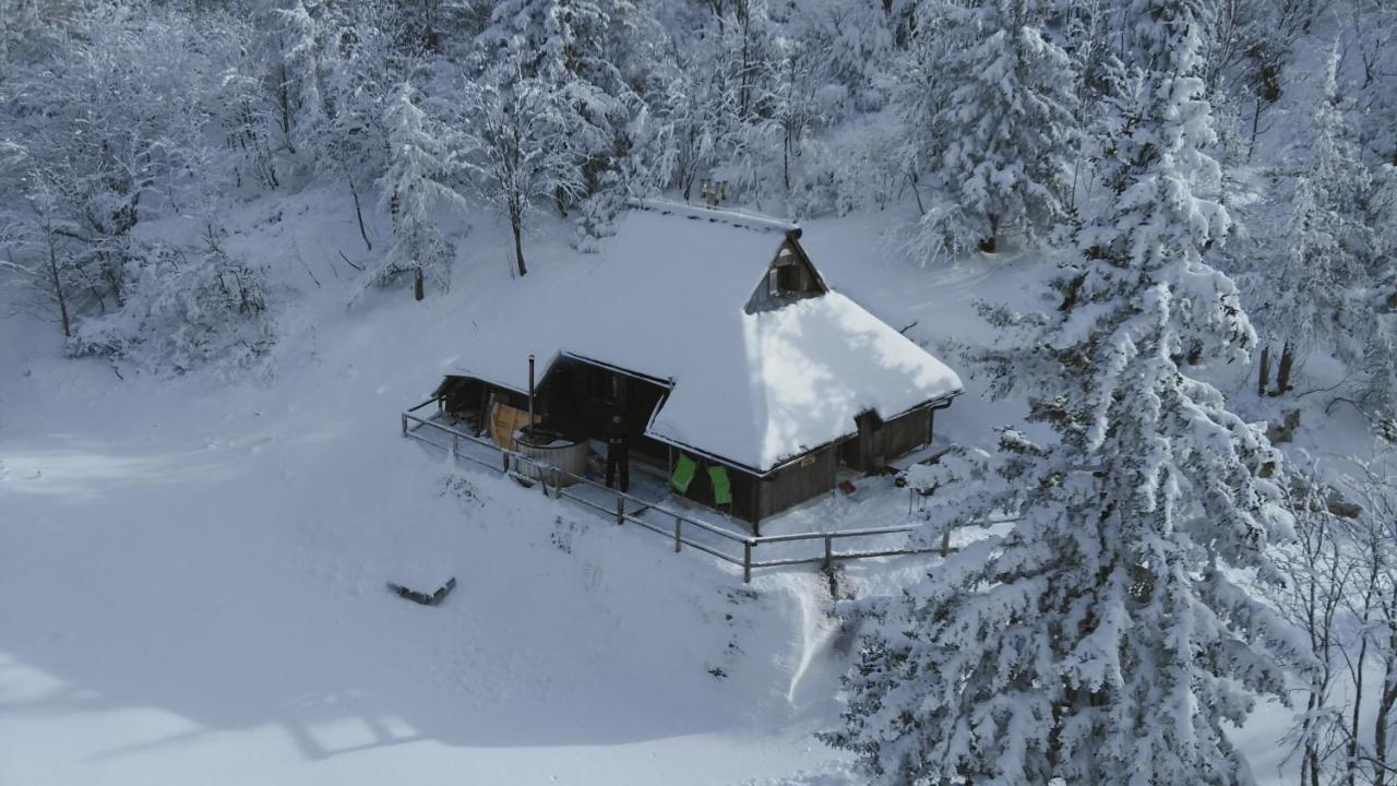 Chalet Pehta Velika Planina Stahovica Extérieur photo